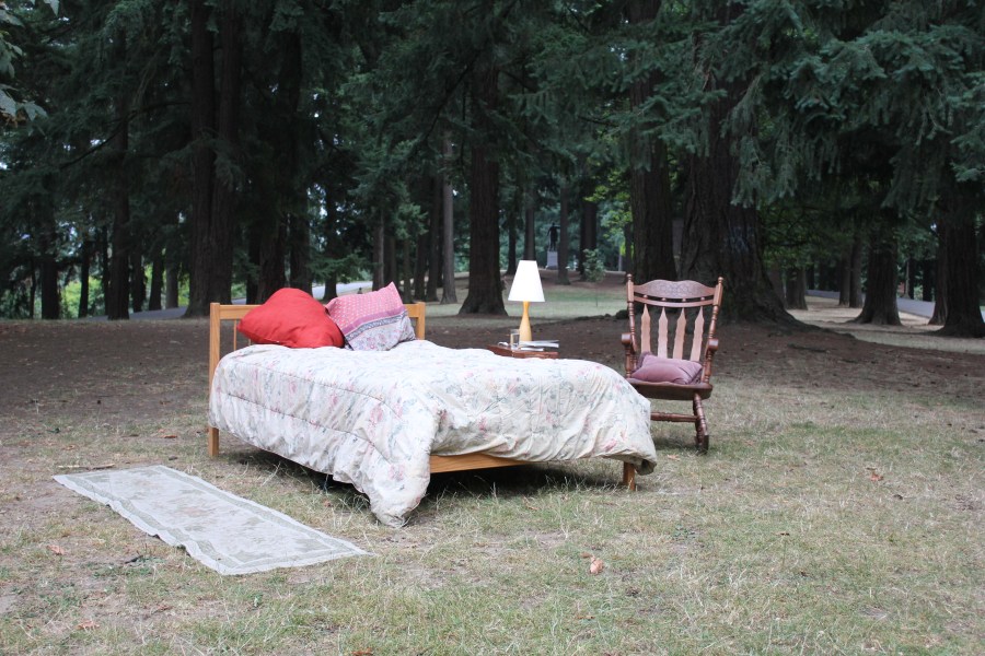 Dreamland Interviewed